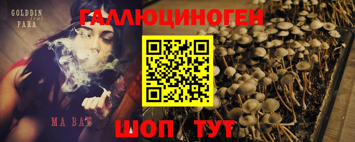 Псилоцибиновые грибы GOLDEN TEACHER Ростов Великий